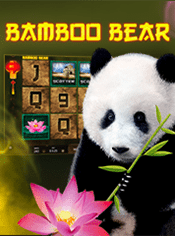Bamboo Bear